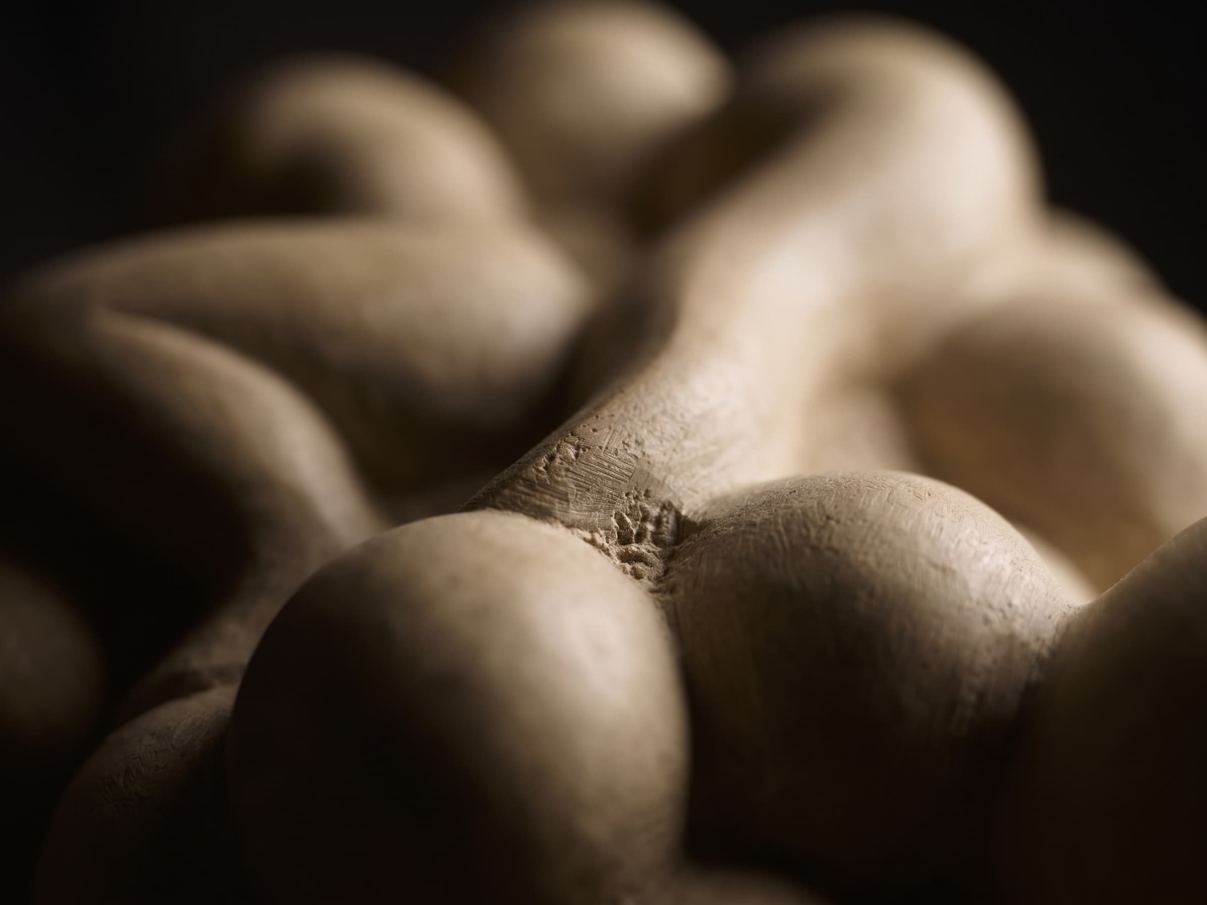 Detail of a pale sculpture, rounded forms meeting in soft light