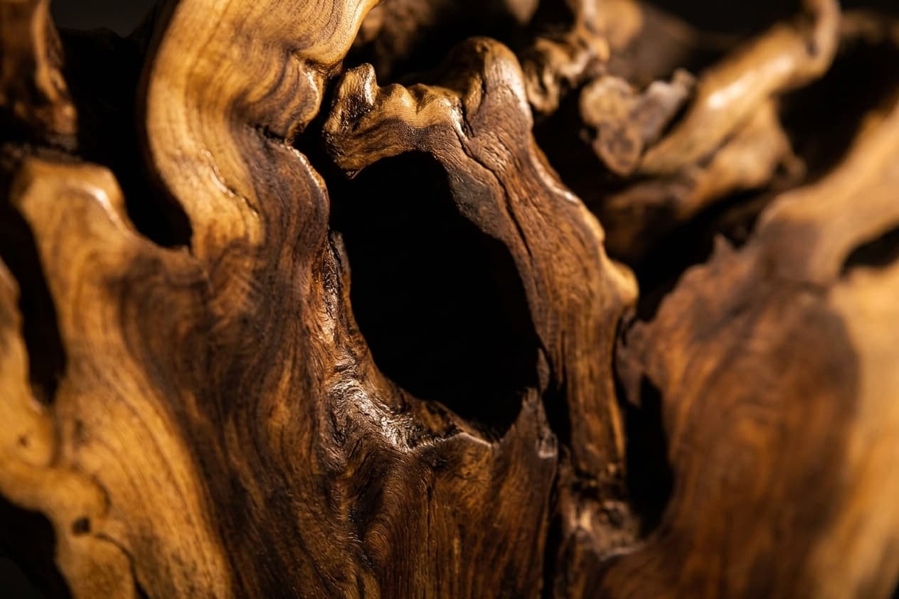 Detail of a carved wooden sculpture, grain curving around a hollow