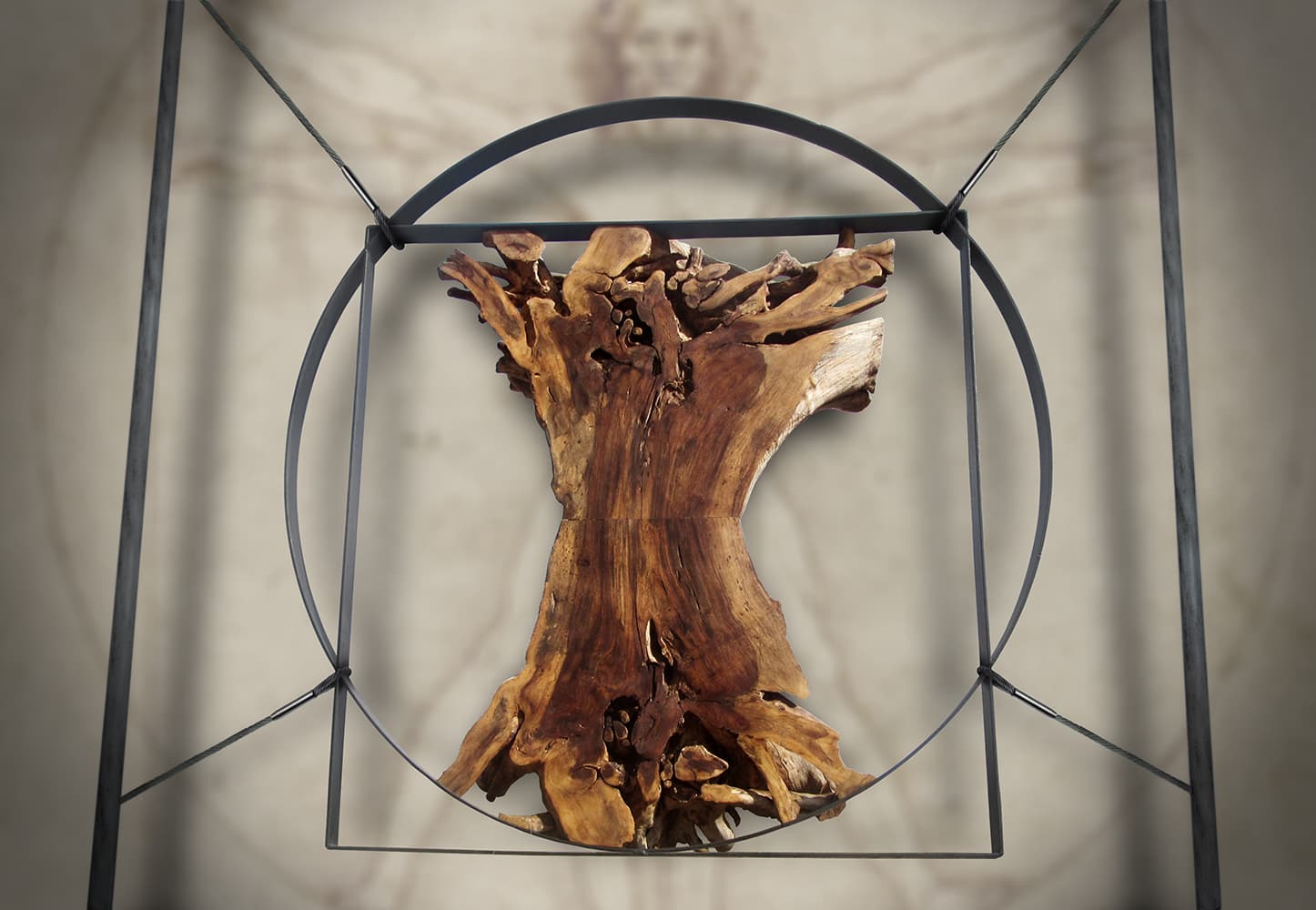 Vitruvian Tree, Wood and steel, W 60 × H 210 × D 210 cm
